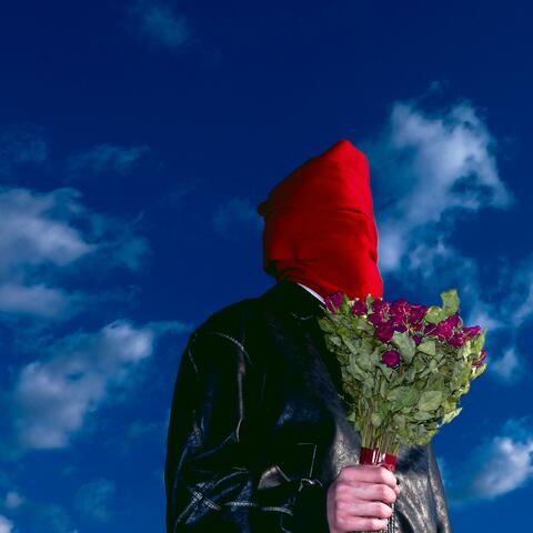 envrai album art