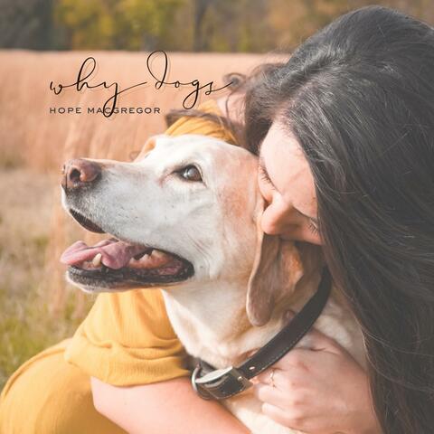 Why Dogs album art