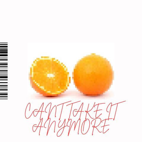 Can't Take It Anymore album art
