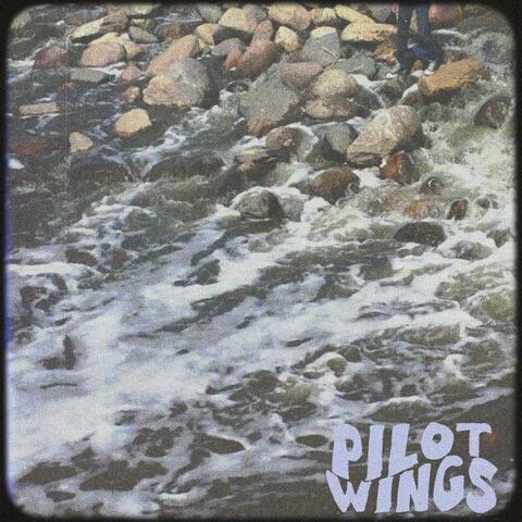 Pilotwings album art