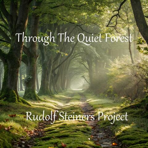 Through The Quiet Forest album art