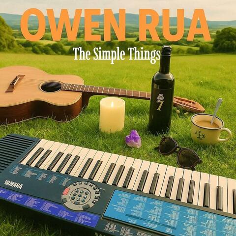 The Simple Things album art