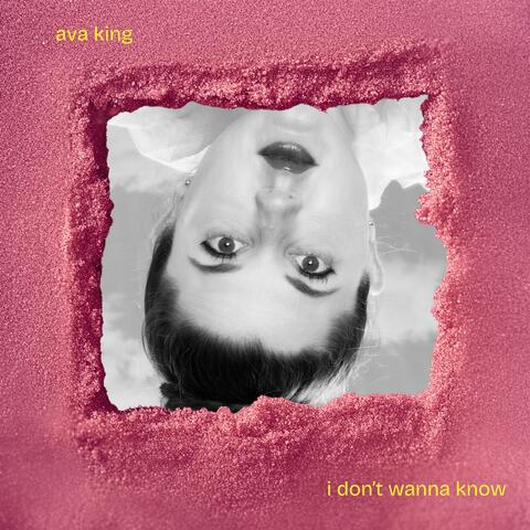 i don't wanna know album art