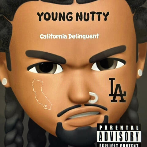Shenanigans album art