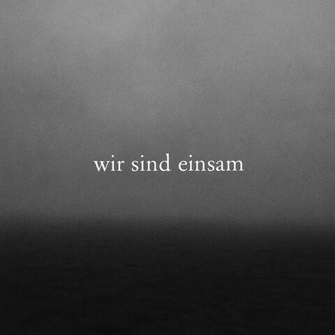 wir sind einsam (musik für tanz, sopran, cello und ARP 2600) album art