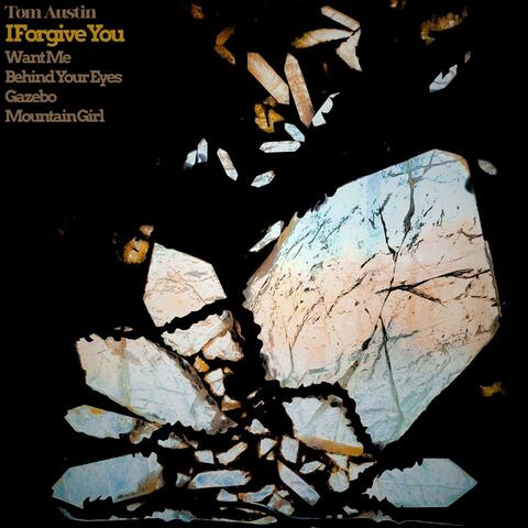 I Forgive You album art