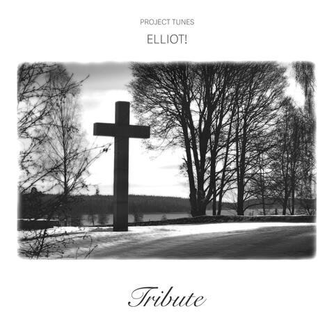 Tribute album art