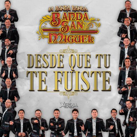 Desde Que Tu Te Fuiste album art