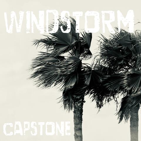 Windstorm album art