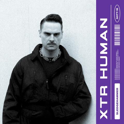 Sledgehammer album art