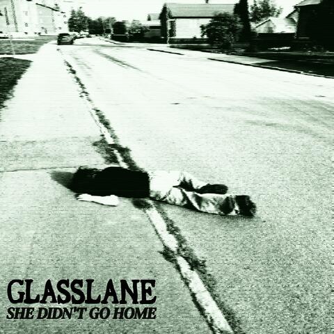 She Didn't Go Home album art