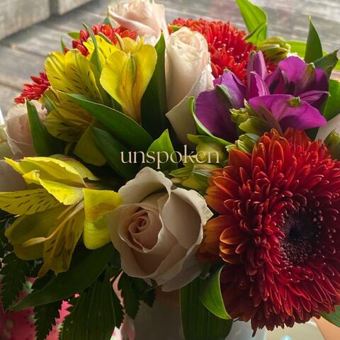 unspoken album art