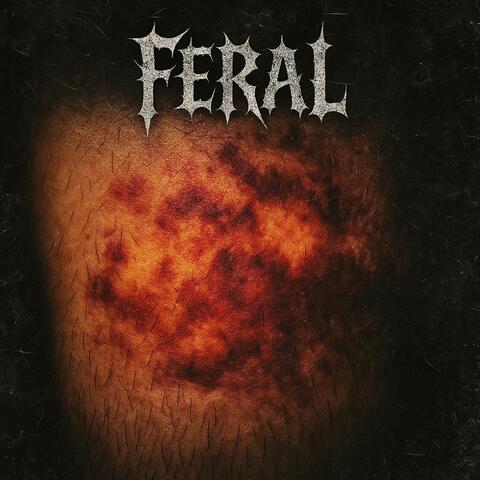 FERAL album art
