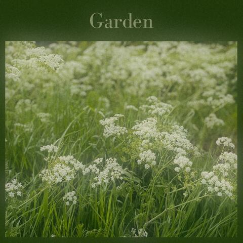Garden album art