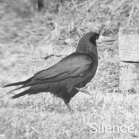 Silence album art