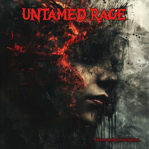 Dismantled Illusions album art