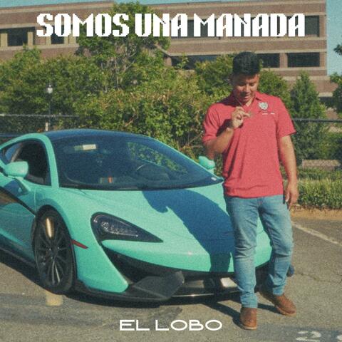 Somos Una Manada album art