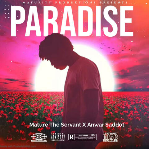 Paradise album art