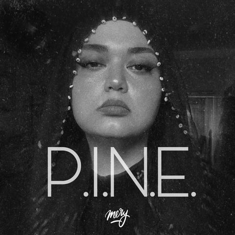 P.I.N.E. album art