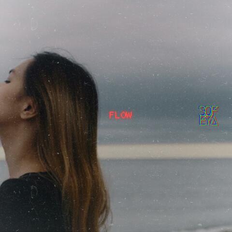 Flow album art