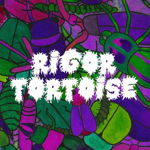 There Are Bugs In Us Now album art