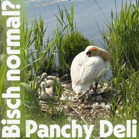 Bisch normal? album art