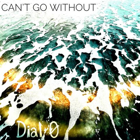 Can't Go Without album art