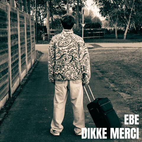 Dikke Merci album art