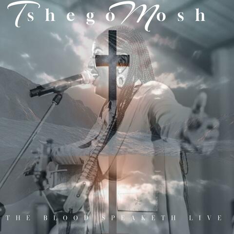 The Blood Speaketh Project album art