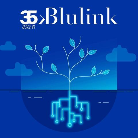 Blulink Day (Play to donate for CORE) album art