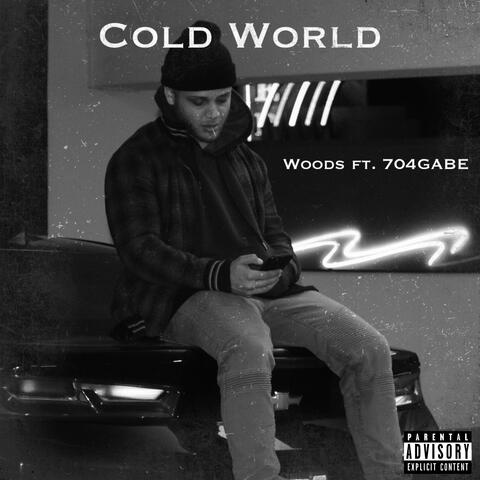 Cold World (feat. 704GABE) album art