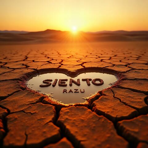 Siento album art