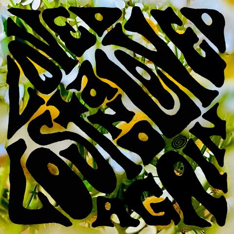 Loved Lost And Loved Again album art