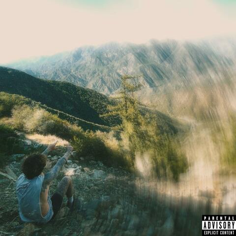 VIBIN album art