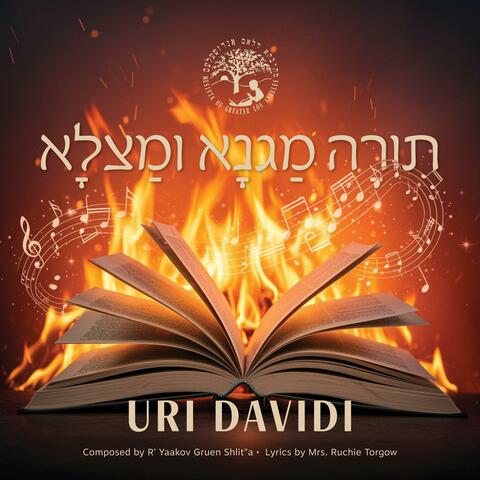Torah Magna U'Matzla album art
