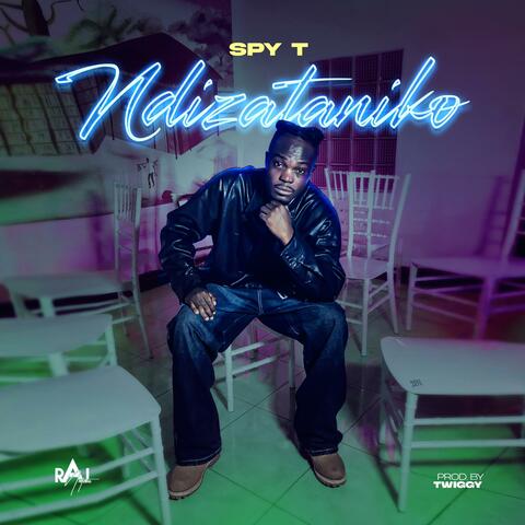 Ndidzataniko album art