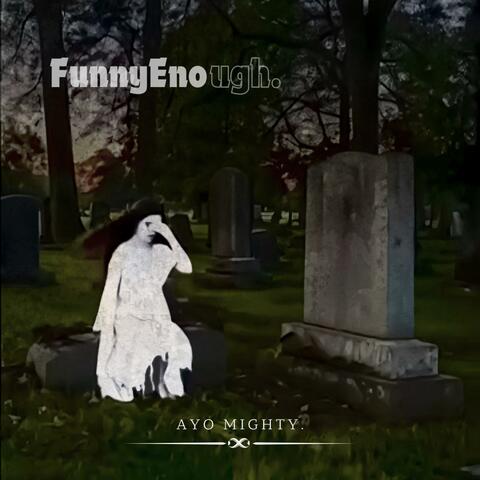Funny enough album art
