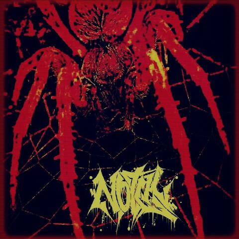 TARANTULA album art