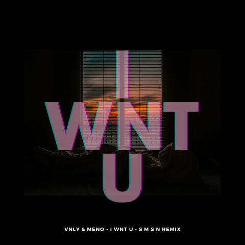 I WNT U (s m s n Remix) album art