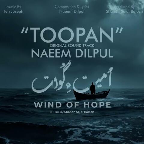 Toopan album art