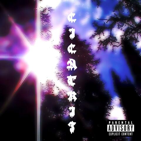 CICATRIZ (Freestyle) album art