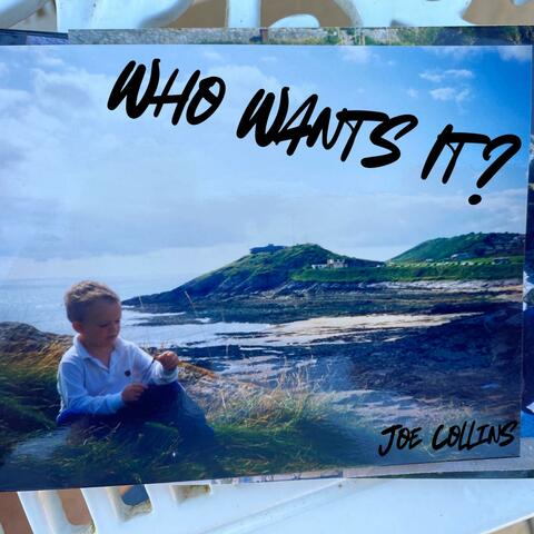 Who Wants It? album art