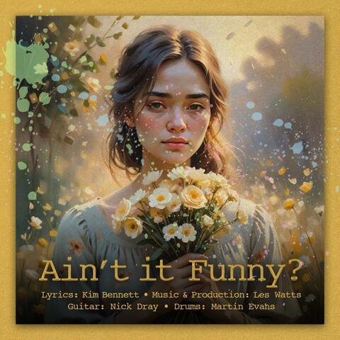 Ain't it Funny album art