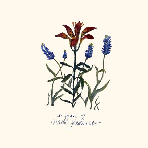 A Pair of Wild Flowers album art