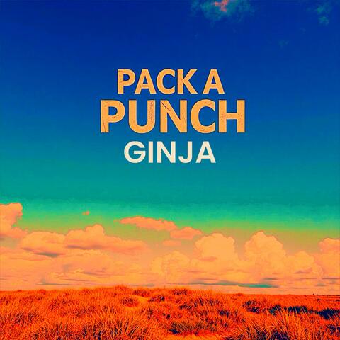 PACK A PUNCH album art