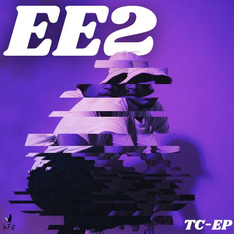Ephemeral Emotions 2 album art