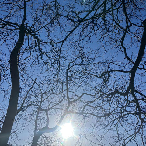 Suntime album art