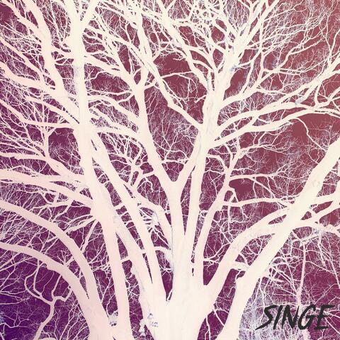 CANCRE album art