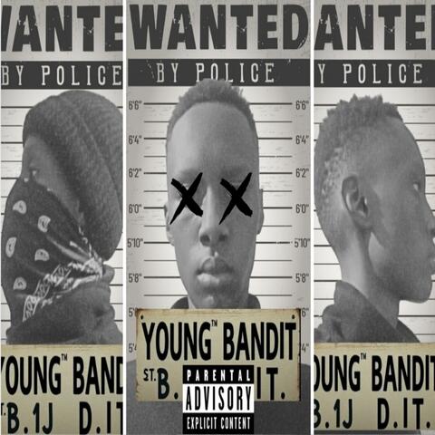 BIT*HES AINT SHIII album art