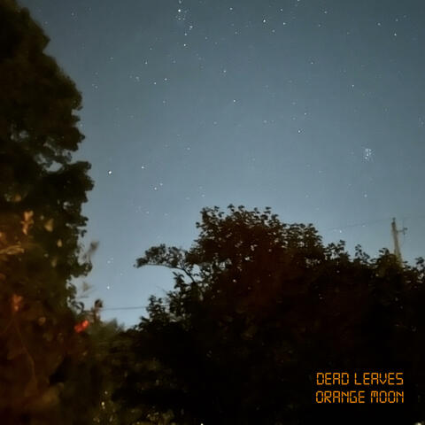 dead leaves album art